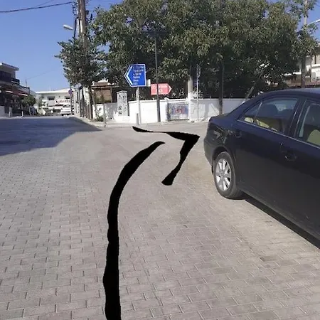 D&s Oinofita Oinofyta