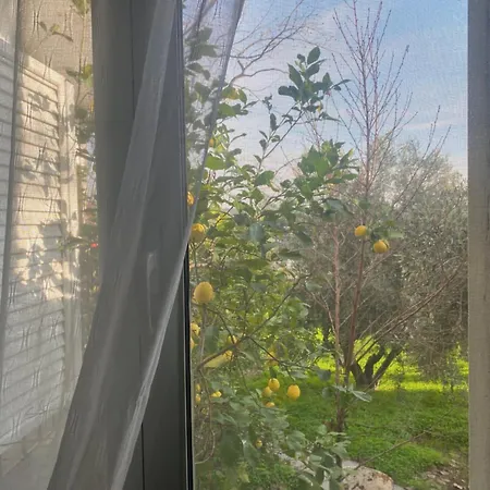 Villa D&s Oinofita