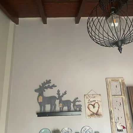 D&s Oinofita *