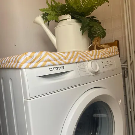 D&s Oinofita * Oinofyta